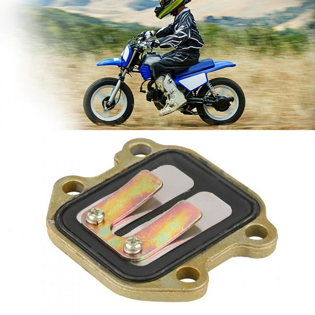 Válvula de admisión de láminas duradera para motocicleta, válvula de admisión de láminas duradera para motocicleta Válvula de admisión de láminas duradera para motocicleta Válvula de
