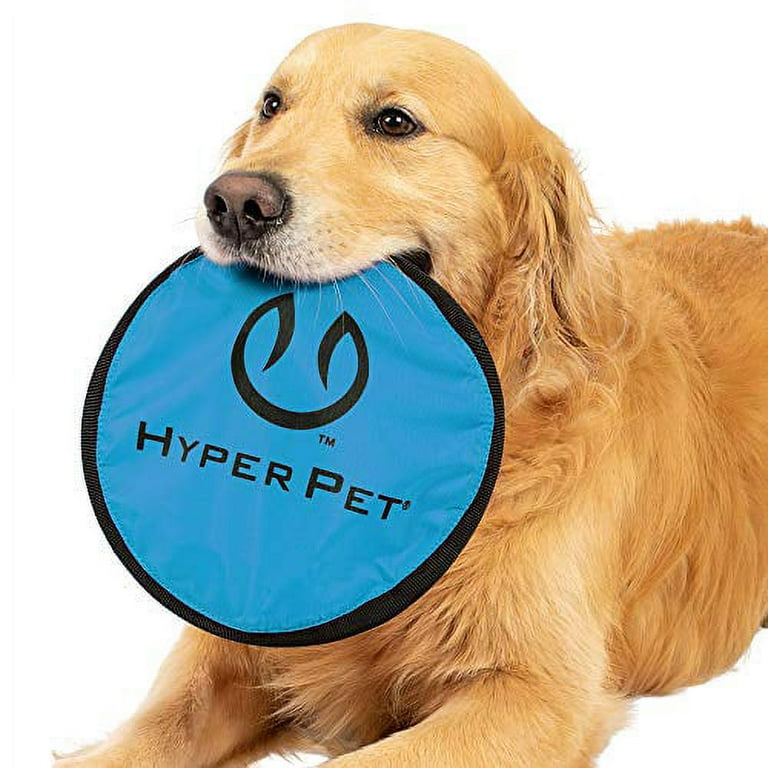 Dog top frisbee launcher