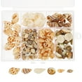 thumbnail image 1 of 1 caja de conchas pequeñas, conchas marinas diminutas naturales del océano para decoración de concha de playa en miniatura DIY, 1 of 5