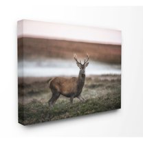 Stupell Industries Wild Deer Animal Landscape Photo Super Canvas Wall Art by Villager Jim