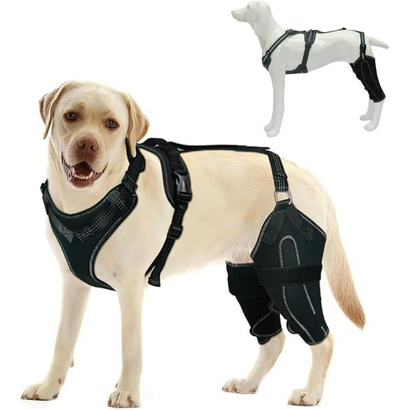 Dog Knee Brace for Torn ACL, Adjustable ACL Brace for Dogs Rear Leg, Hip Dysplasia Brace for Dogs, Joint Pain Relief Support for Back Leg Recovery