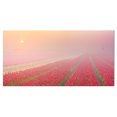 thumbnail image 2 of Lever de Soleil sur Rangées de Tulipes - Impression sur Toile Paysage, 2 of 3