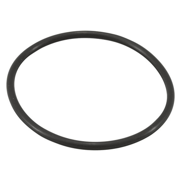 Zodiac Replacement Part for Jandy Pro Series TruClear Chlorinator O Ring