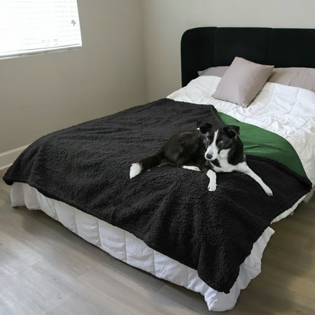 Kritter Planet Washable Waterproof Fleece Blanket - Pee-Proof Dog Blanket Cover for Couch/Bed Liquid-Proof Furniture Protector for Small/Large Pets Black & Green 80 x60