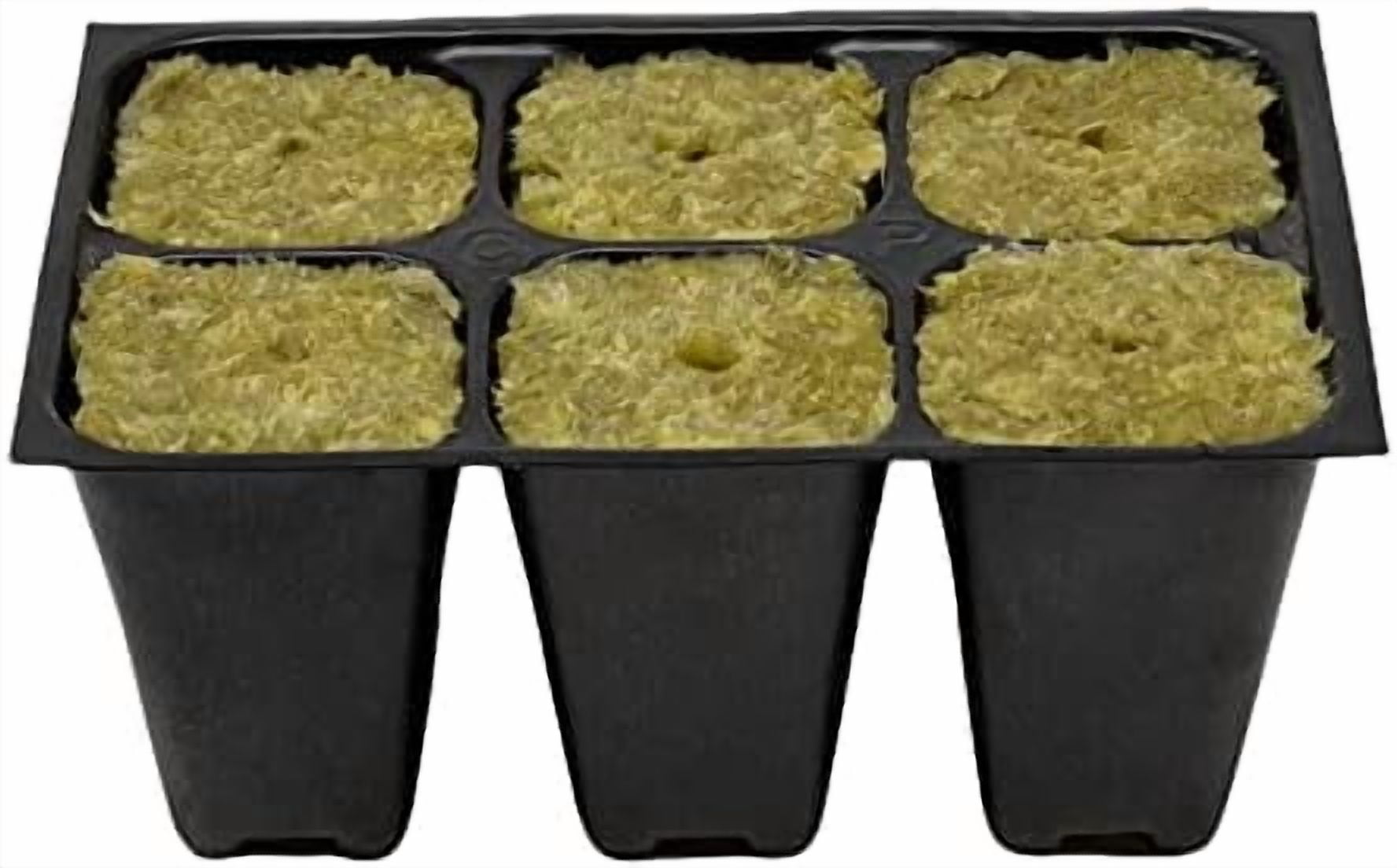 Seed Starter Tray, 1440 Cells (240 Trays - 6 Cells Per Tray) + Plant Stakes