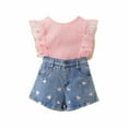 thumbnail image 1 of Hiiyo Toddler Girl Summer Clothes Set Ruffle Sleeve Ribbed Tee Shirt Denim Shorts Set, 1 of 8