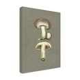 thumbnail image 4 of Trademark Fine Art Pictufy   Field Mushroom Canvas Wall Art, 4 of 4