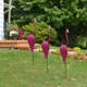 thumbnail image 3 of Indicador de viento de flamenco para jardín Escultura de pájaro giratoria caprichosa Decoración de jardín de pájaros dinámica, absolutamente hermosa y única, 3 of 6