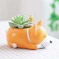 thumbnail image 2 of 1x lindo Animal de dibujos animados  jarrón Corgi perro flor decoración Gloria Maceta suculenta, 2 of 6