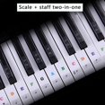 thumbnail image 3 of Piano Sticker Transparent Piano Keyboard PVC Sticker 54/6188 Key Piano Stave Electronic Keyboard Note Sticker for White Keys, 3 of 6