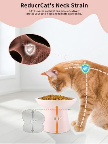 Elevated Cat Food and Water Bowls Set, Extra Wide and Raised Ceramic Feeder, Anti-Vomit Whisker-Free Pressure Feeding Bowl for Kittens Adult Cats Small Dogs(Pink, Food Bowl)