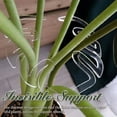 thumbnail image 3 of Transemion Transparent Plastic Plant Support Frame For Beautiful Plant Display Simply Type A, 3 of 6
