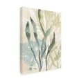 thumbnail image 2 of June Erica Vess 'Vintage Ocean Jewels II' Canvas Art, 2 of 4