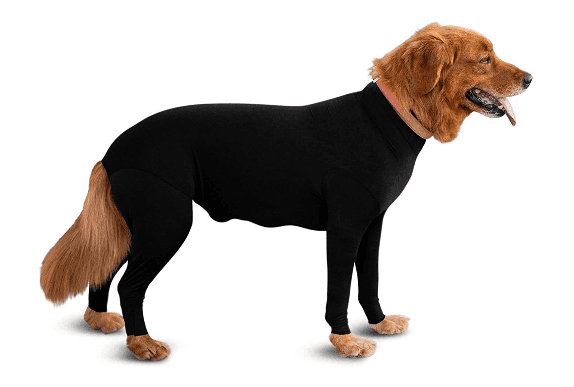 no shed dog bodysuit