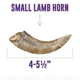 thumbnail image 2 of Icelandic+ Lamb Horn With Marrow - Small - 4-5.5" Dog Chew, Long-Lasting Treat, Puppy-Small Dogs, Keratin, All-Natural, Pet Snack, Edible & Digestible, 2 of 7