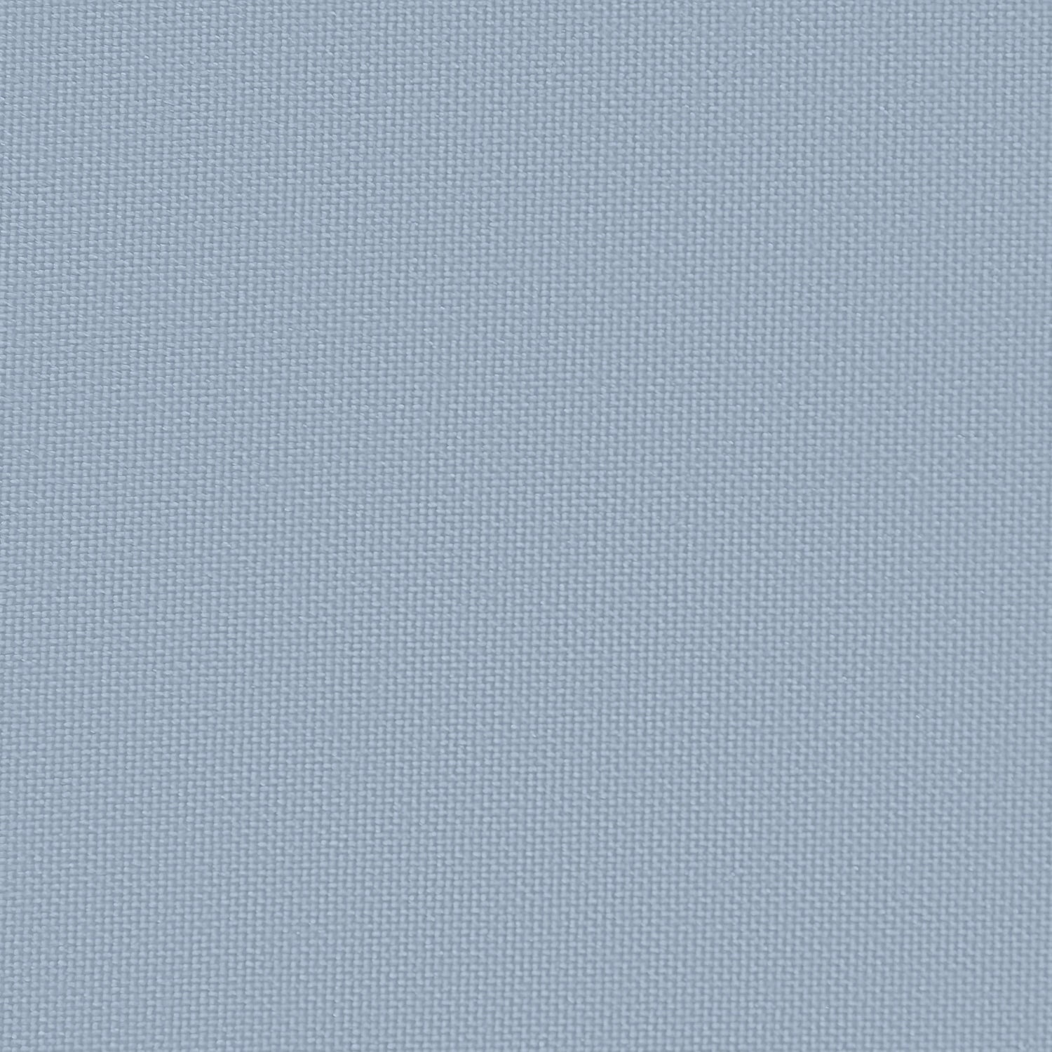 1573 Blue Hydrangea