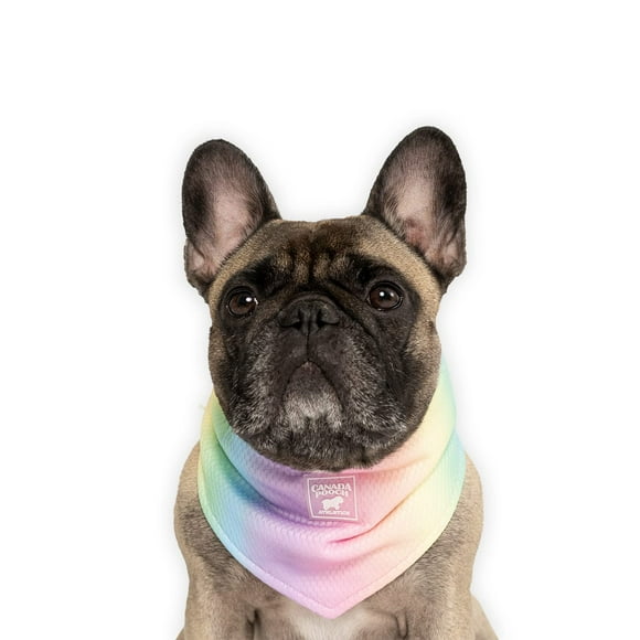 Canada Pooch Cooling Bandana for Dogs - Evaporative Cooling Dog Bandana with Breathable Mesh Material for Hot Days Adjustable Dog Cooling Bandana Great for Dogs