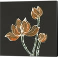 thumbnail image 1 of Lotus on Black IV by Chris Paschke, Canvas Wall Art, 1 of 1