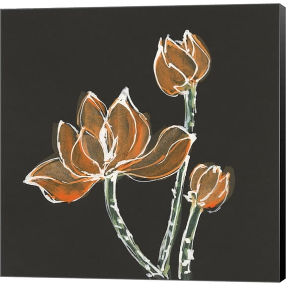 Lotus on Black IV by Chris Paschke, Canvas Wall Art