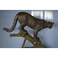 thumbnail image 5 of Nifao Mountain Lion Bronze Statue – Garden Outdoor Decor Sculpture, 73"L x 41"W x 65"H, 5 of 11