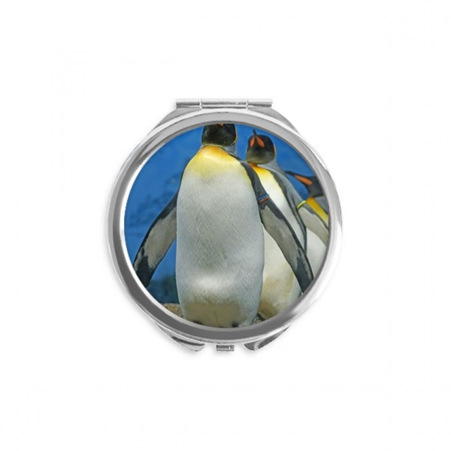 Many Antarctic Penguins Nature Science Picture Hand Compact Mirror Round Portable Pocket Glass