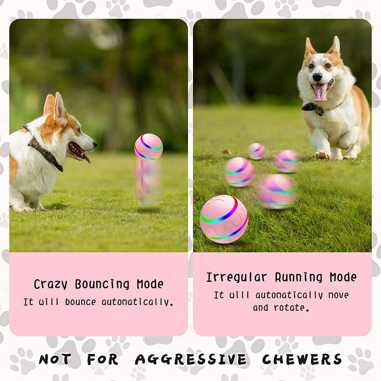 Automatic Active Rolling Ball for Dogs LED Lights USB Rechargeable  Interactive Dog Toys for Puppy Small Medium Dogs - AliExpress