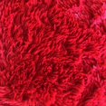 thumbnail image 1 of Soft Fluffy Area Rug, Washable Silk-Wool PV Fleece, Non-Slip, Family and pet Friendly Living Room Rug (Bright red,24×36 inch), 1 of 1