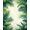 Green, Pattern 3, variant on ODIKA 4' x 6' Machine Washable Non-Slip Area Rug, Tropical Monstera High Traffic Rug, Green, 131425