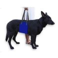 thumbnail image 1 of Popular dog carrying and pet assisting with protection belt adjustable harness set leash soft carrier accessories supplies soft, 1 of 3