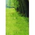 thumbnail image 1 of BSDHOME Polyester 5x7ft Photography Backgrounds for Kids Portrait Photo Studio Props Green Grass Trees Land Nature Scenery Theme, 1 of 2