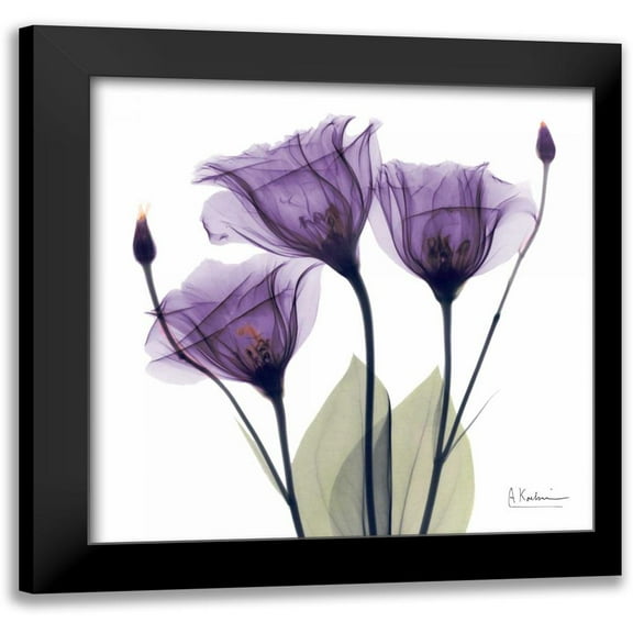 Koetsier, Albert 12x12 Black Modern Framed Museum Art Print Titled - Gentian Hope