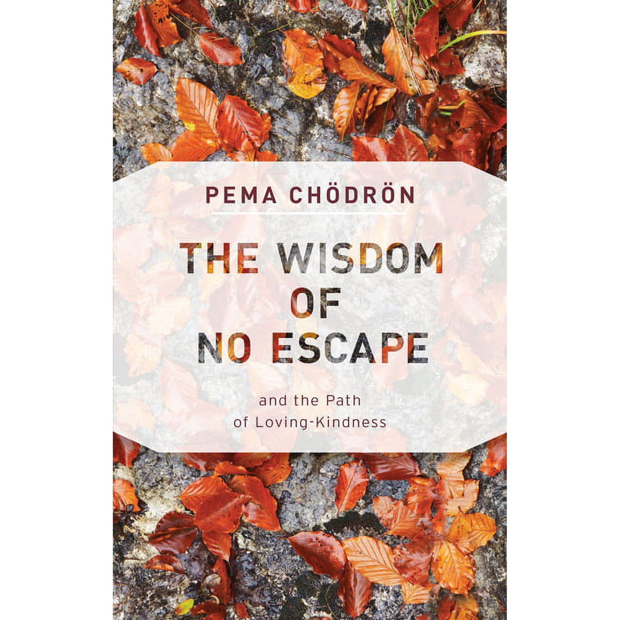 The Wisdom of No Escape: And the Path of Loving-Kindness (Paperback)