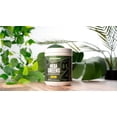 thumbnail image 6 of NutraBio Mega Greens- Complete Daily Super Greens Powder Superfood- Alkalizing, Energy, and Metabolic Support, Digestive Enzymes, Adaptogenic Mushrooms, Immune Defense - 30 Servings- Citrus, 6 of 9