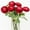 Red, variant on Wishrage 6PCS Artificial Ranunculus Flowers with Real Touch Stem Silk Ranunculus Flowers for Household Arrangement