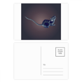 thumbnail image 1 of Juego de postales Zodiacal Spirit Cumpleaños 20 piezas, 1 of 3