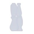 thumbnail image 1 of Mini Botella de Silicona Zulema Transparente Molde 3D de silicona para moldes de silicona, 1 of 8
