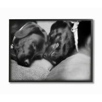 Stupell Industries Cute Cuddle Dog Pet Animal Black And White Photo Framed Giclee Texturized Art by Villager Jim