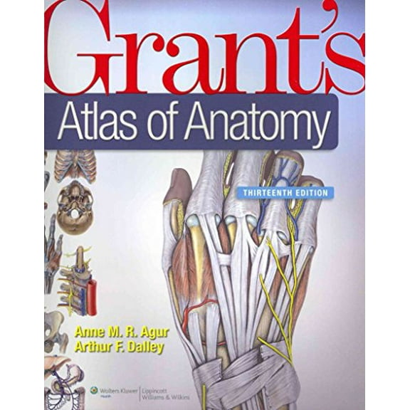Pre-Owned Grant's Atlas of Anatomy, 13th Edition (Paperback) 1608317560 9781608317561