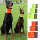 thumbnail image 4 of Correa de Hebilla de Cuello Animal Doméstico Complimentos de Seguridad de Perro Gato Amarillo S, 4 of 9