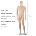 thumbnail image 3 of Ktaxon Male Body Model Plastic Mannequin Full Body Dress Form Shopwindow Display, 3 of 8