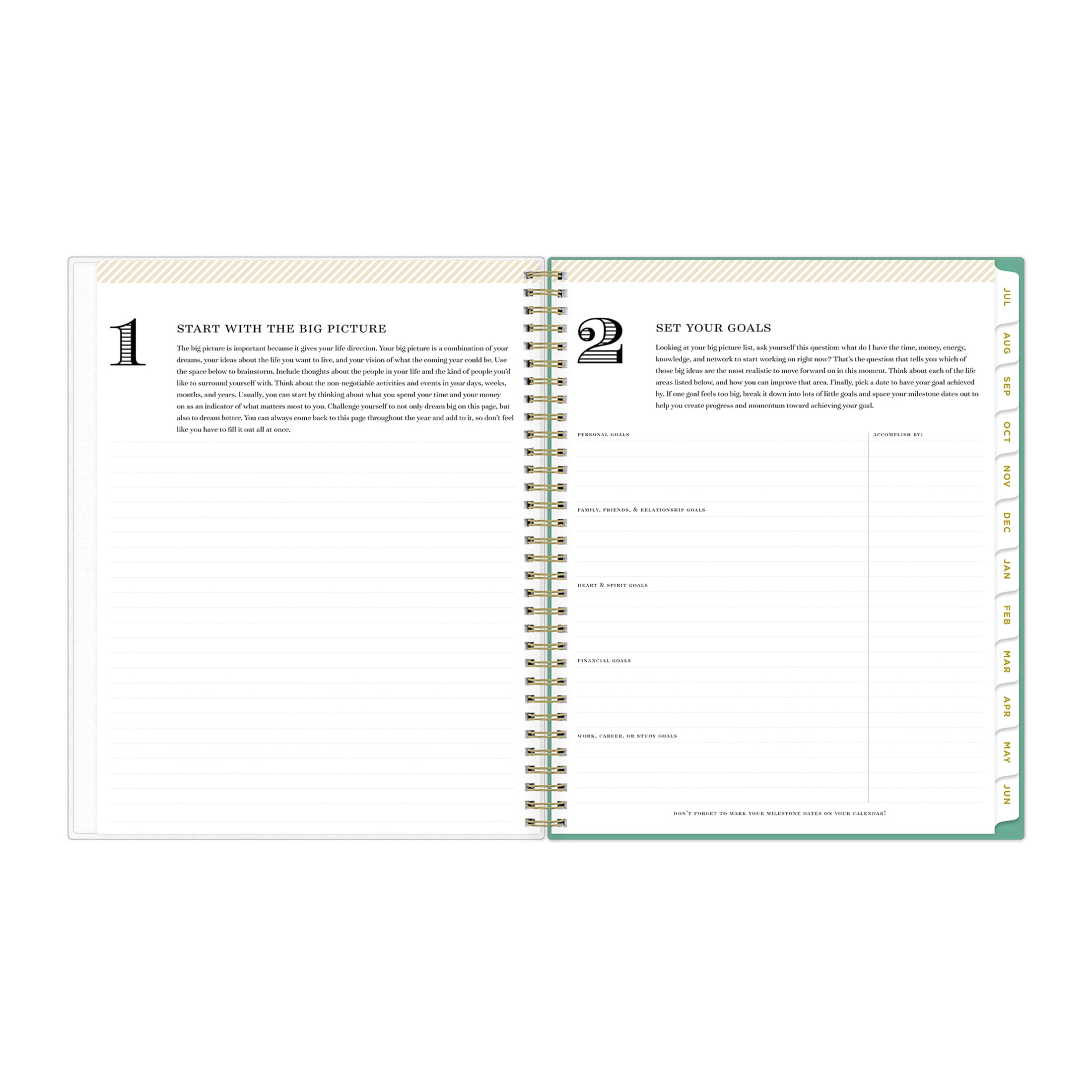 Day Designer for Blue Sky 2024-2025 Weekly Monthly Planner, 8.5x11, Palms