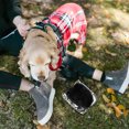 thumbnail image 4 of COMPUKAS Lightweight Dog Waste Bag Holder Portable Hanging Buckle Design for Pet Outdoor Activities Multi, 4 of 6