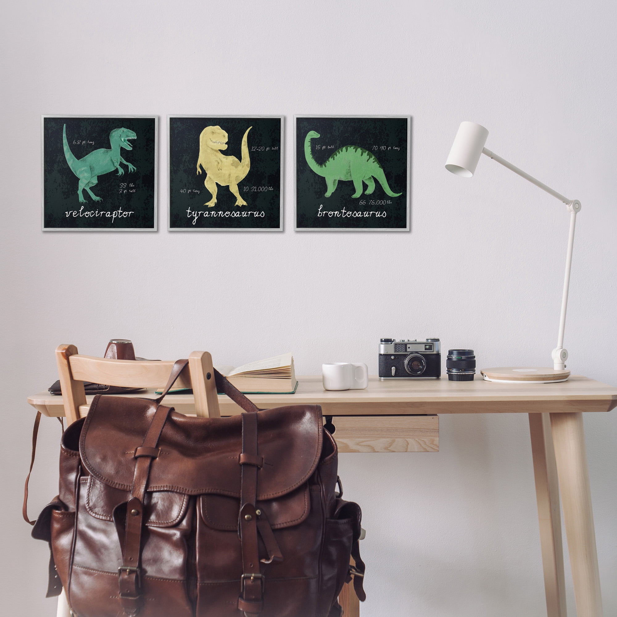 Stupell Industries Dinosaur Facts Chalk Inspired Design Animals & Insects Painting Gray Framed Art Print Wall Art, 12 x 12, Set of 3