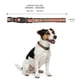 thumbnail image 3 of Collar NFL para perro raza mediana San Francisco 49s 100% oficial, 3 of 6