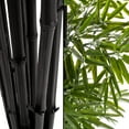 thumbnail image 3 of 6" Artificial Bamboo Tree with Black Trunks and Realistic Leaves for Indoor Home Decor by Pure Garden, 3 of 5