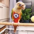 thumbnail image 6 of GYTY Bird Diapers Leash Set Washable Reusable Handmade Flight Suit Waterproof Inner Layer - Protective Parrot Nappy Clothes Parakeets Macaws Budgies Canaries (Black1,Sun Conure), 6 of 7
