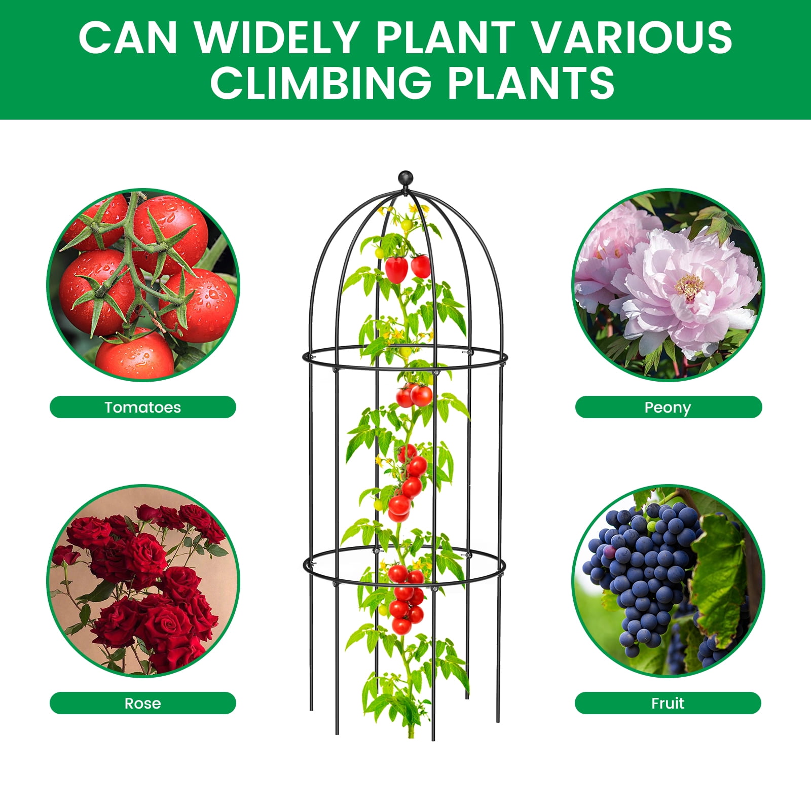 MOPHOTO XL Garden Trellis for Climbing Plants Outdoor, Tomato Cage Metal Obelisk Trellis Plant Trellis for Potted Plant, Flower Trellises Plant Cages Peony Cages Plant Support (Black, 3 Pack)