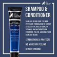 thumbnail image 3 of The Mane Choice Head Honcho Hair & Beard Shampoo + Conditioner = Too Clean, 3 of 6