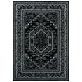thumbnail image 2 of Safavieh Adirondack Xavier Oriental Area Rug, Black/Ivory, 4' x 6', 2 of 14
