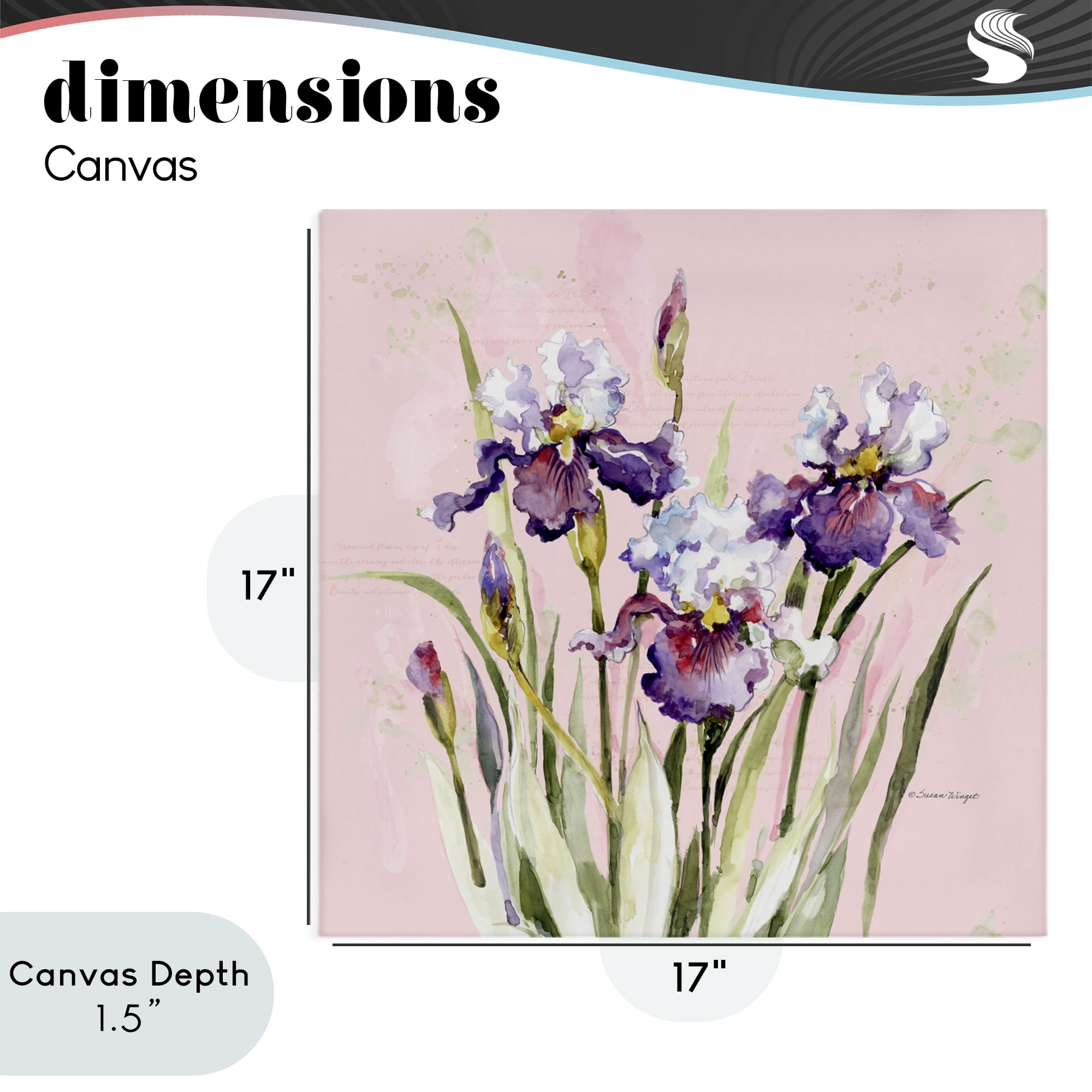 Stupell Industries Purple Irises on Pink Canvas Wall Art, design by Susan Winget